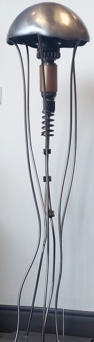 Jellyfish by Cory Fuhr