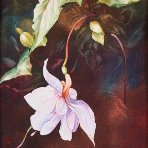 Product image for “Marshmallow Fuscia #3”