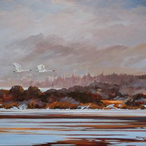 Product image for “Swan Song, Buffalo Lake”