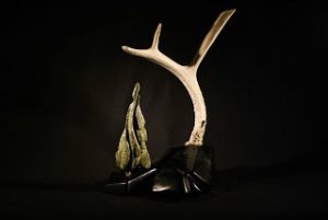 After the Fire by Grant Berg