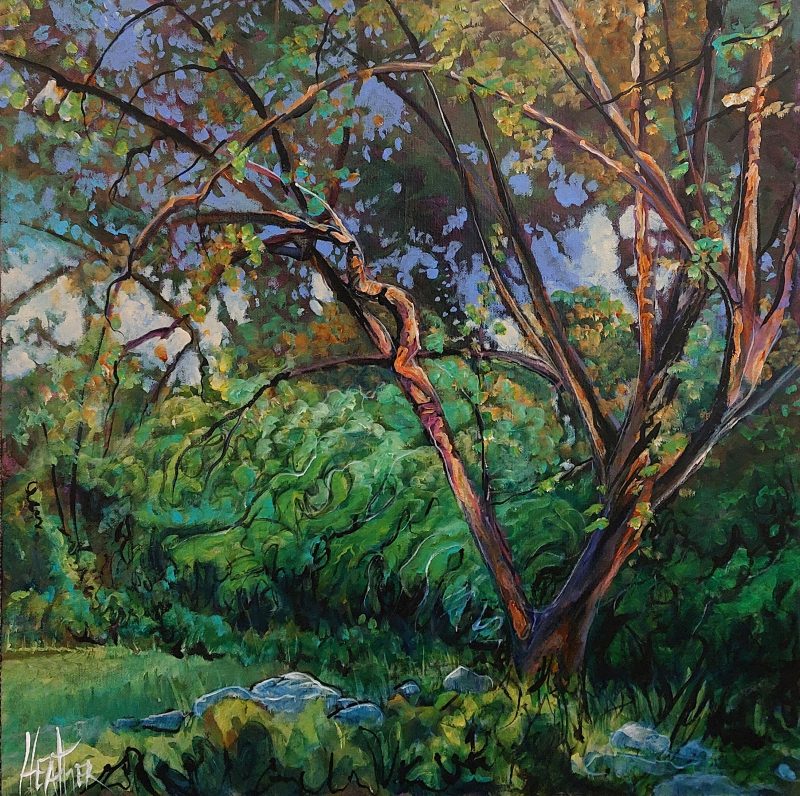 Dancing Light by Heather Pant