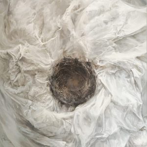 Product image for “Fragile Promises”