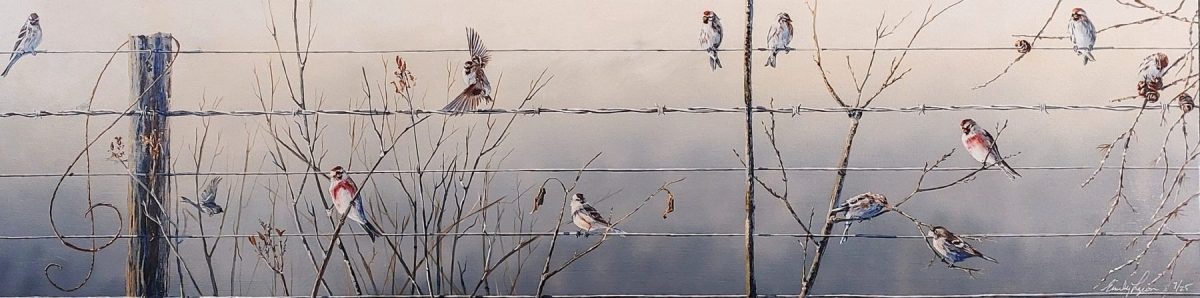 Birds On A Wire Print by Emily Lozeron