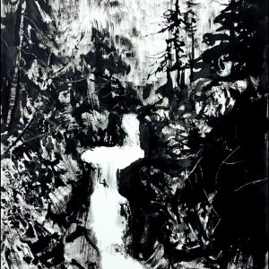 Northwest Waterfall by Ed Bader