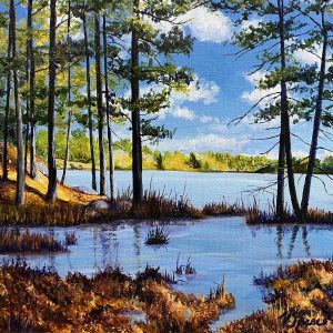The View.. by Valerie Spence Hounsell