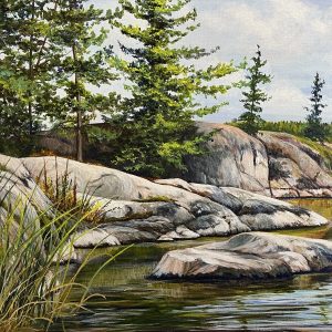 The Forces of Nature by Valerie Spence Hounsell