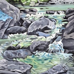 Mountain Stream by Cindy Vincent