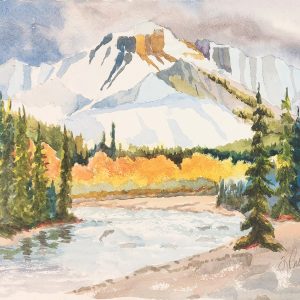 Product image for “Mt Tekarra Jasper”