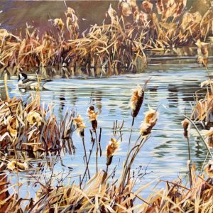 Quiet Morning on the Pond by Suzanne Sandboe