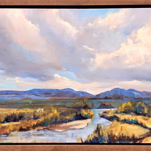 When Light Finds the Valley by Emily Lozeron