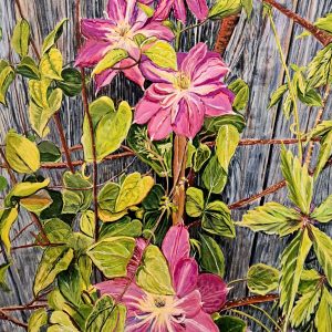 Summer Glory by Agnes McDonald
