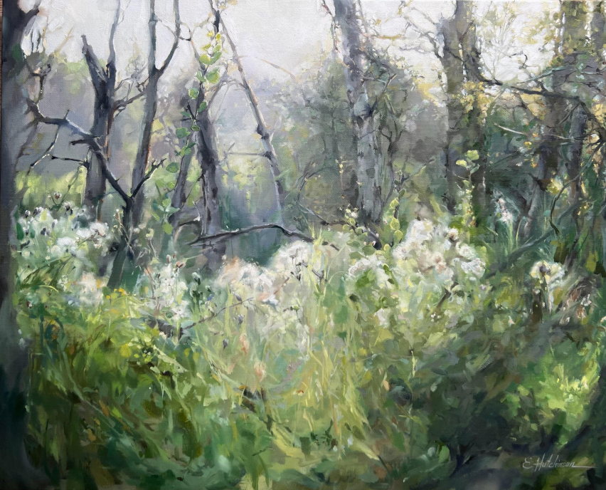 Where the Light Catches by Elizabeth Hutchinson