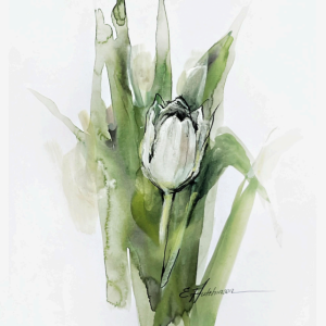 Product image for “Cream Tulip I”