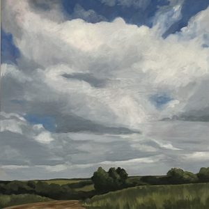 I Wanted to Show You This by Melisa Finlay